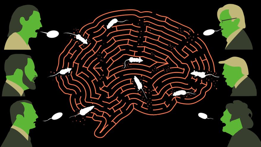 El plan de la ultraderecha para plantar ideas autoritarias en tu cerebro y erosionar la democracia