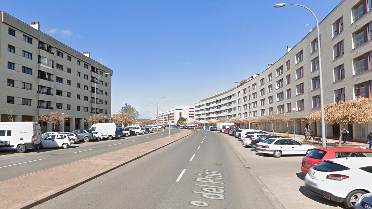 Así será el ajardinamiento de Paseo del Prior: 58 árboles, 1.366 arbustos y setos en forma de botella de vino en la rotonda