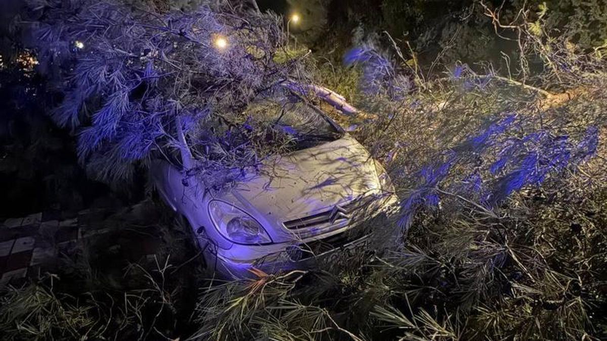 Daños por el temporal en Cabra.