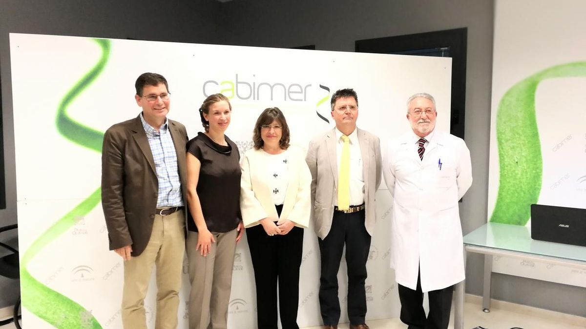 Investigadores andaluces lideran un proyecto que desarrolla el primer fármaco con potencial de curar la diabetes tipo 1