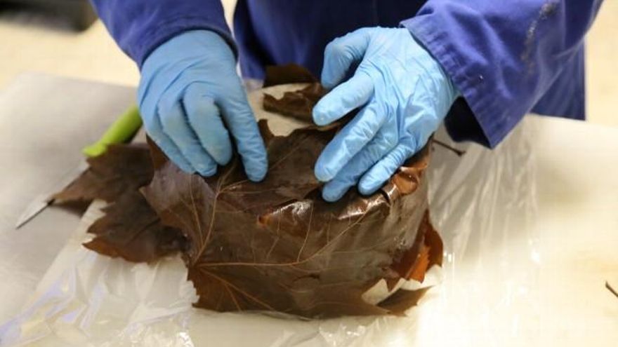 Eduardo Margareto / ICAL Proceso de envolver el queso de Valdeón en hojas de plágano