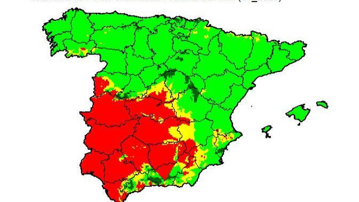 Polen de gramíneas en Córdoba