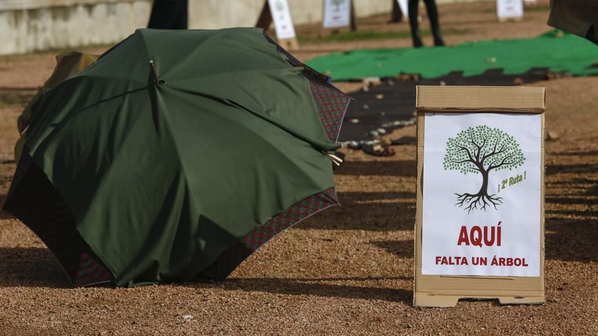 AAVV Axerquía y Regina-Magdalena realizan la actividad 'Aquí falta un árbol' en el Parque de Miraflores