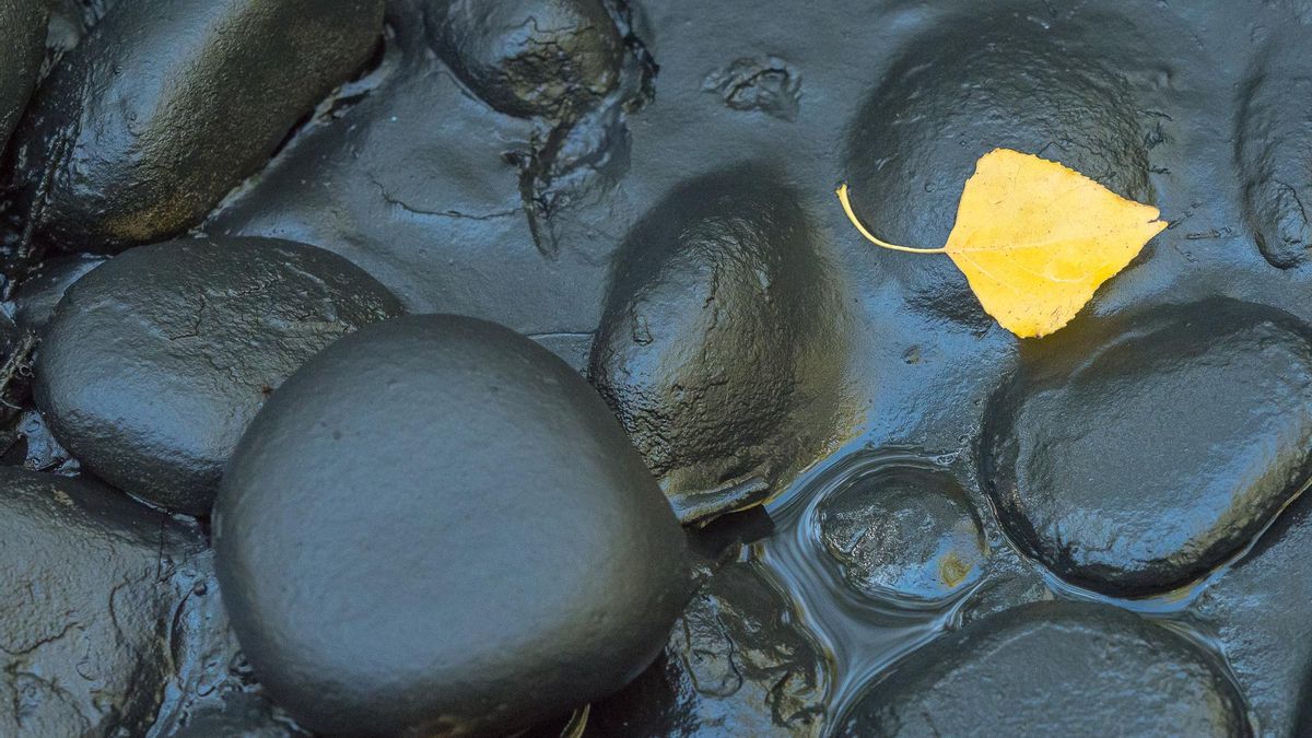 Ecologistas en Acción lleva a la Fiscalía a una empresa química de Monzón por los lodos negros vertidos al río Cinca