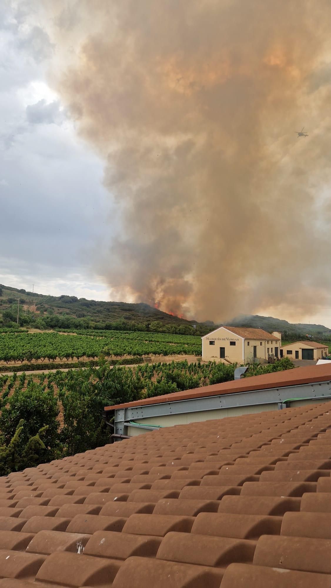 Incendio forestal cerca de AP-68