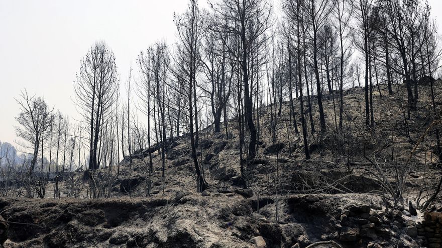 Vista de la superficie quemada en el incendio forestal de Azuébar, en Castelló. EFE/ Domenech Castello