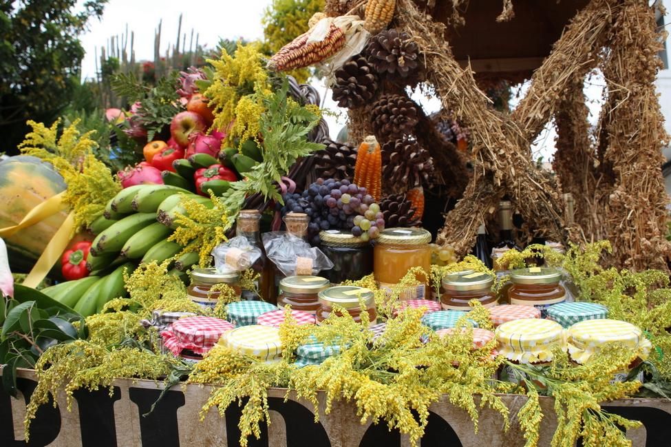 Romería de Teror (ALEJANDRO RAMOS)