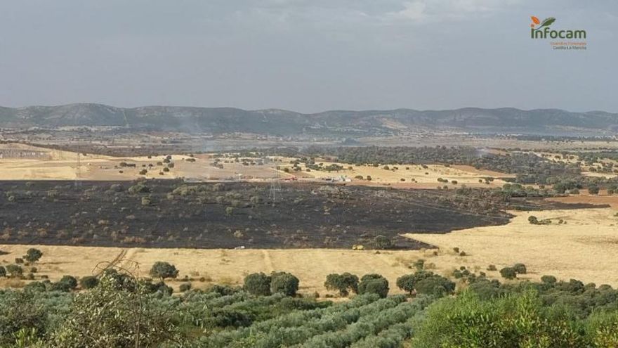 Concluyen las labores de extinción del incendio forestal declarado en Brazatortas