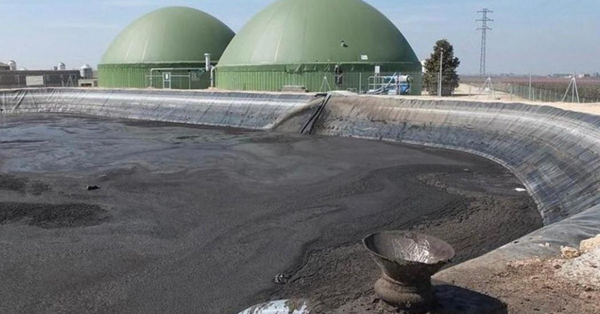 Conflicto socioambiental por el biogás en la península ibérica: naturaleza, sociedad y extractivismo verde – elDiario.es