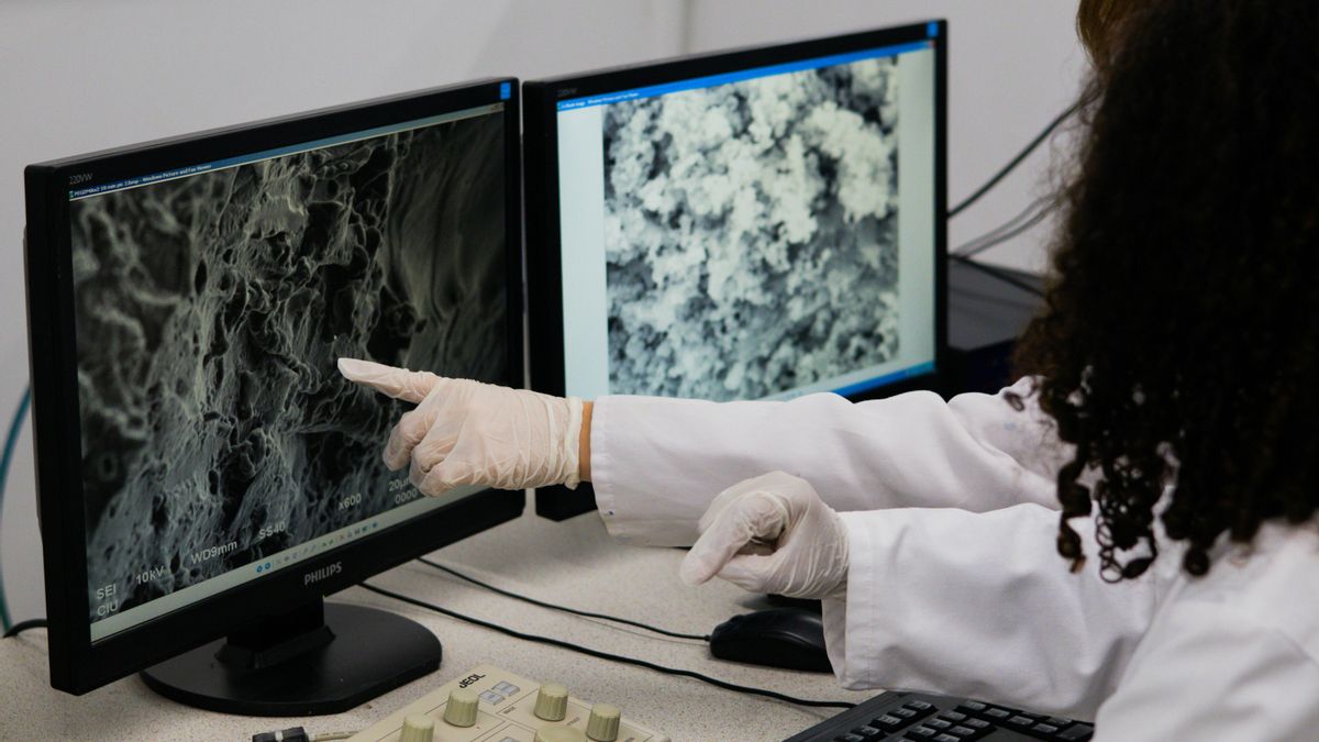 Investigadores observan imagen de microscopía.