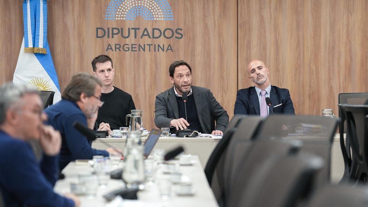 Maximiliano Ferraro, de la Coalición Cívica, preside la comisión investigadora $LIBRA.
