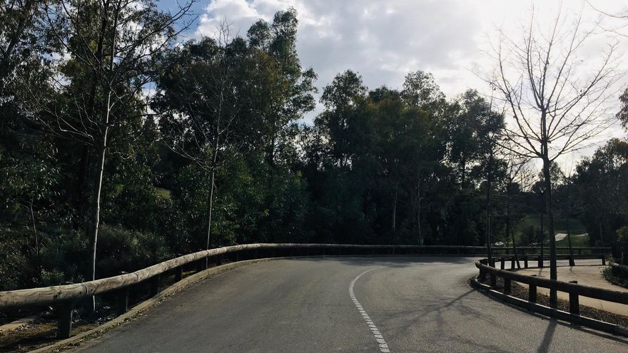 Vista de la carretera que da acceso a Isla de Valdecañas.