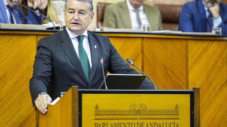 El consejero de la Presidencia, Interior, Diálogo Social y Simplificación Administrativa, Antonio Sanz, en el Pleno del Parlamento.