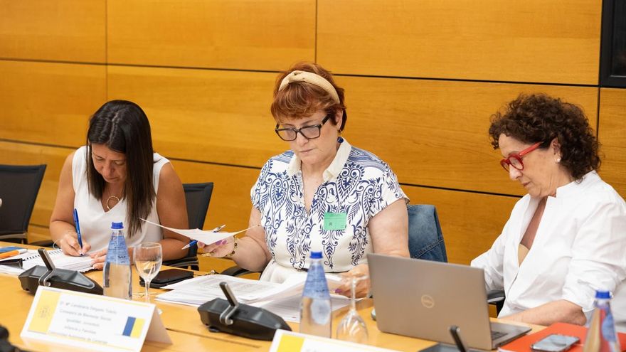 El Gobierno de Canarias reclama más financiación para la ayuda a la dependencia pese al importante incremento del Estado