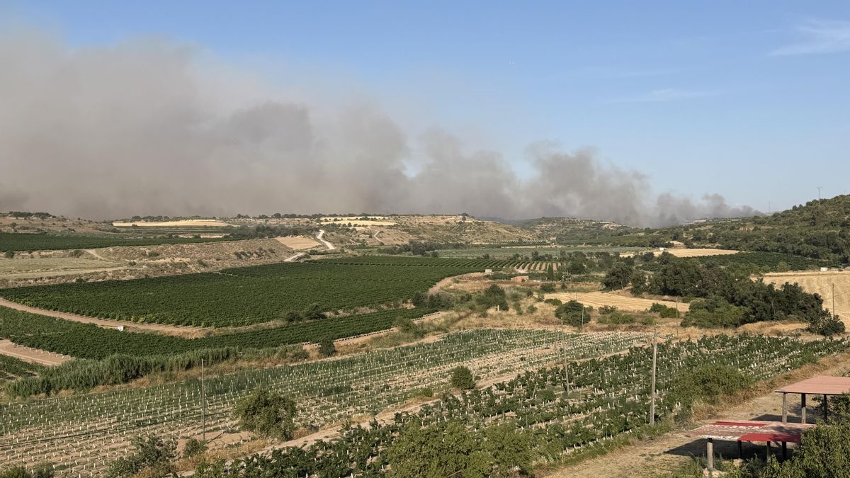 Confinadas 21.000 personas en cinco municipios de Lleida por la reanudación del incendio de Guimerà