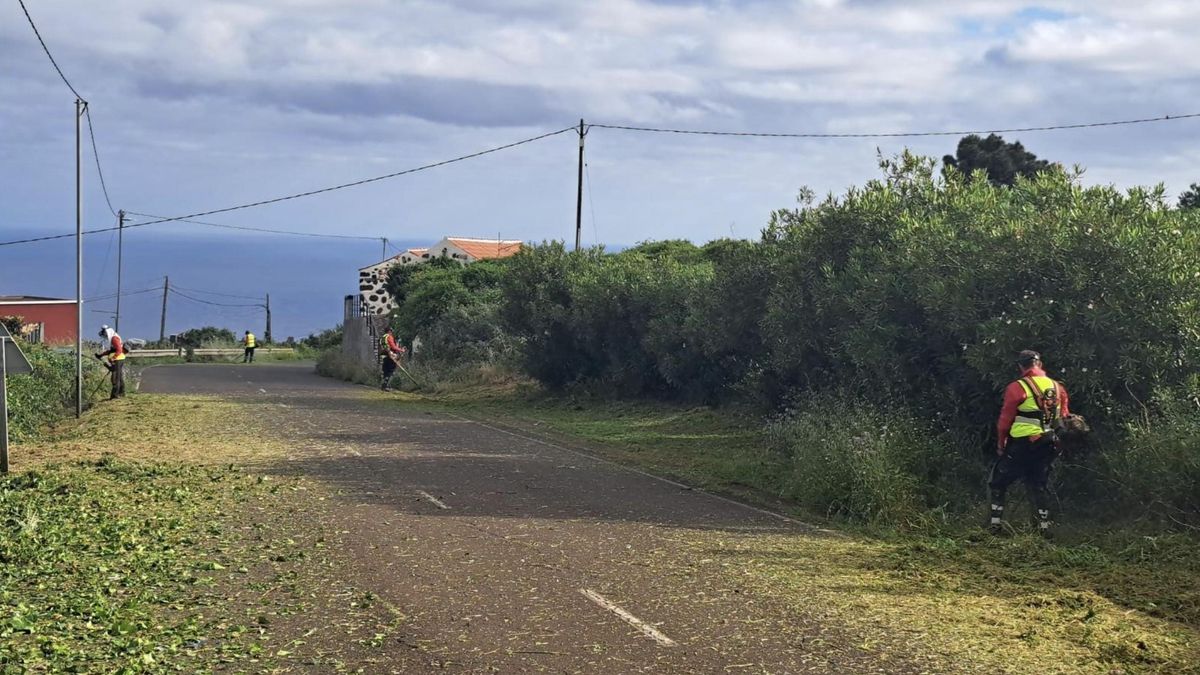 Plan Integral de Empleo de La Palma  (imagen de archivo)