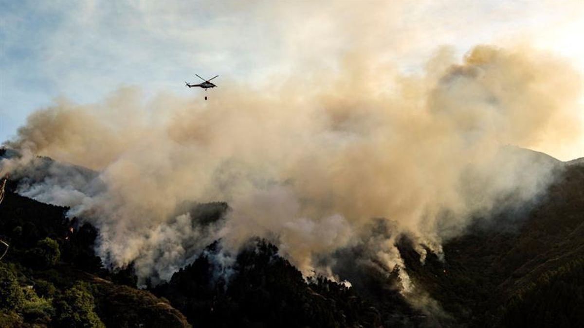 Las Palmas de Gran Canaria, en alerta por riesgo de incendio forestal