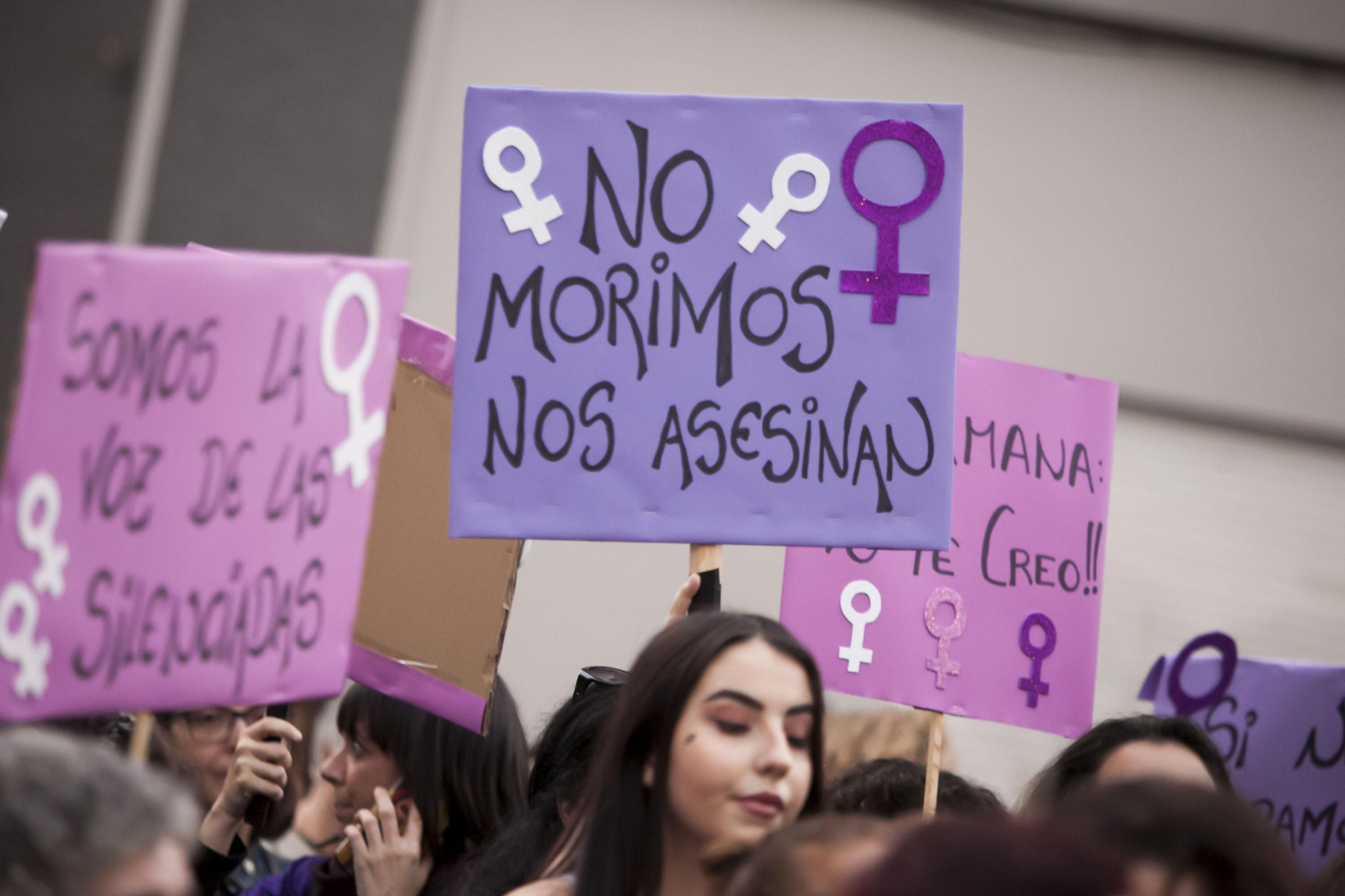 Mensajes exhibidos a lo largo del recorrido de la protesta santacrucera