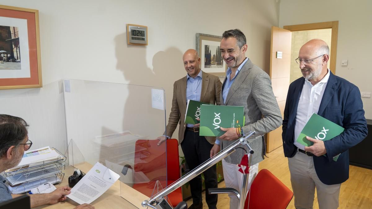 Vox pide ahora impedir plantas solares o eólicas en terrenos de cultivo como aprobó la Junta cuando ellos gobernaban