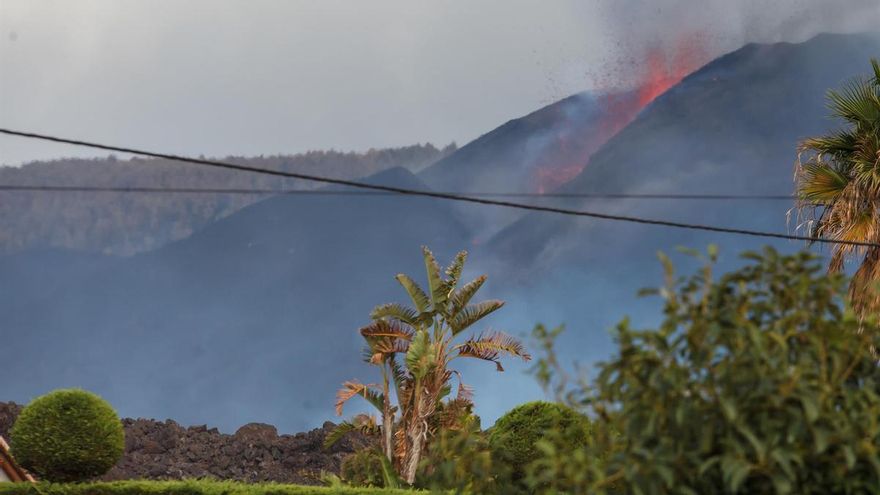 Restringido el uso de la carretera de Puerto Naos por la proximidad de una colada