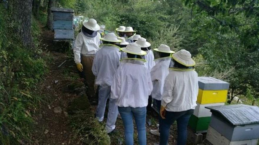 Visitando las colmenas de El Cornón. / Luis Álvarez