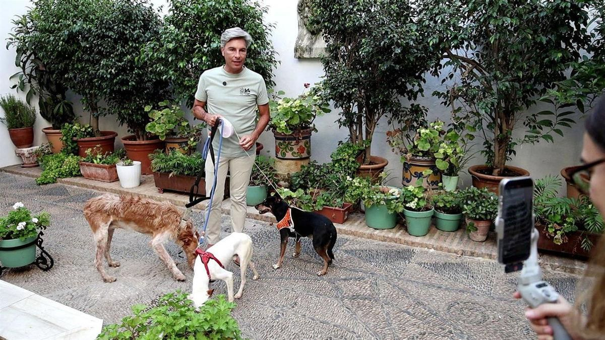 El 70% de los perros abandonados recogidos por la Diputación encuentra un nuevo hogar
