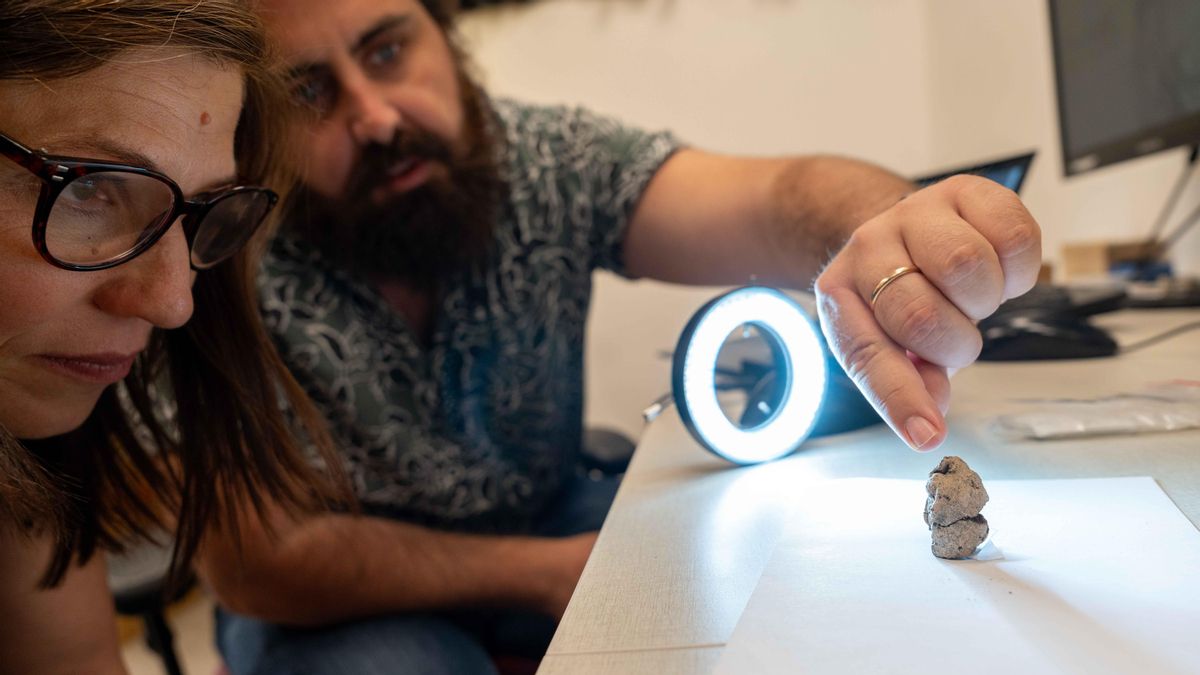 Los investigadores Leore Grosman y Laurent Davin examinan la figurilla.