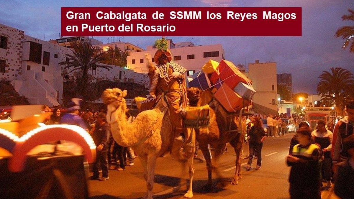 La Fundación Franz Weber denuncia el uso de camellos en las cabalgatas de Fuerteventura, con "golpes directos" por parte del personal