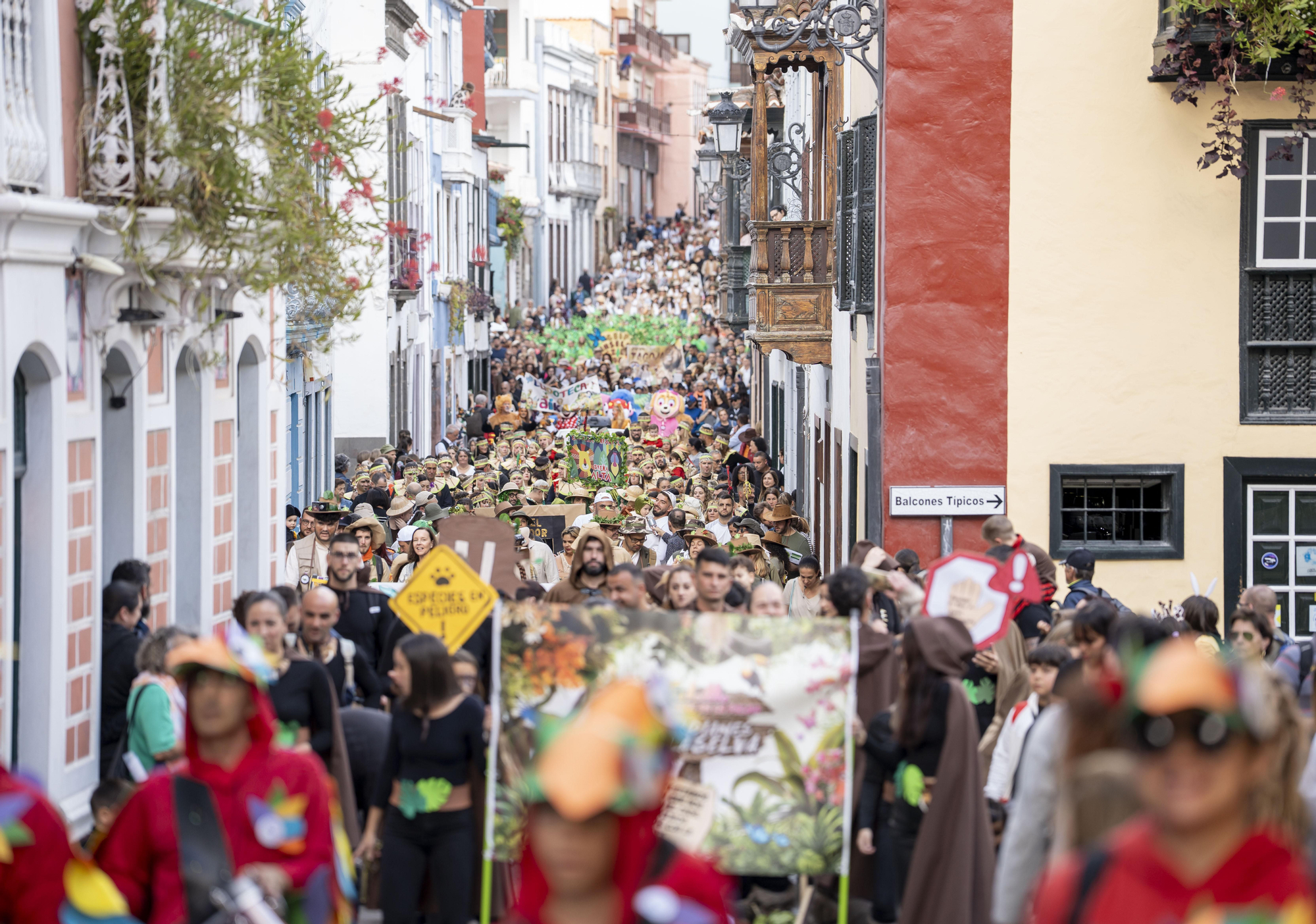 Arranca el carnaval 2025 en Santa Cruz de La Palma con el Gran Coso Infantil.