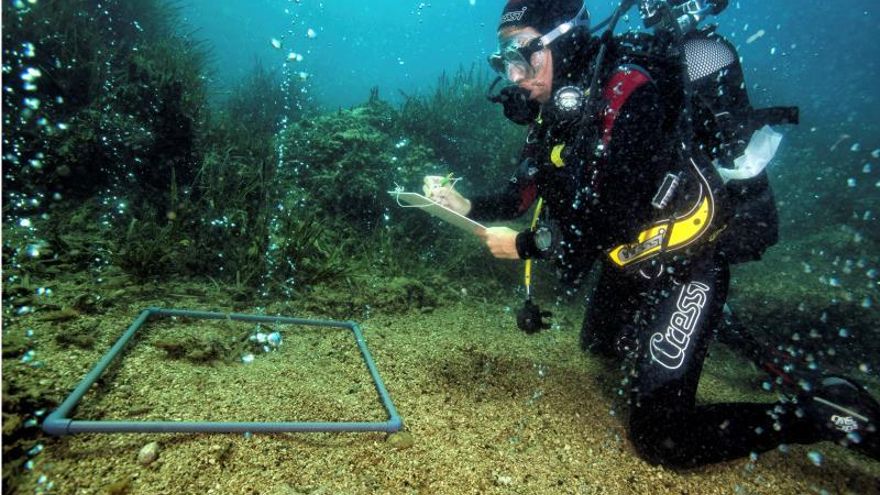 Así quiere Macron captar talentos contra el cambio climático