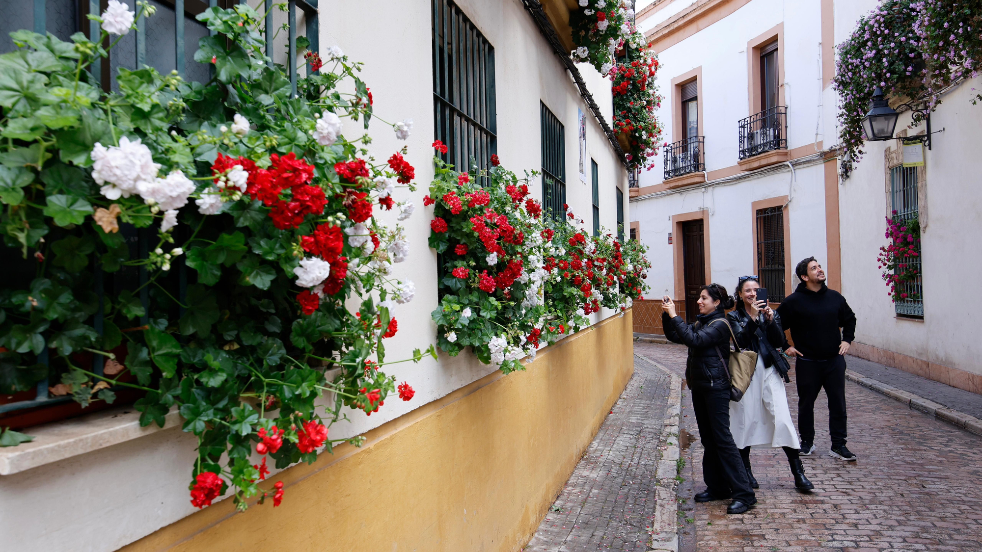 Primer premio de Rejas y Balcones en Fernán Pérez de Oliva, 7