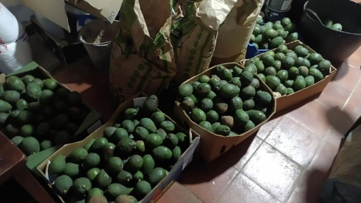 Secuelas de la borrasca ‘Emilia’