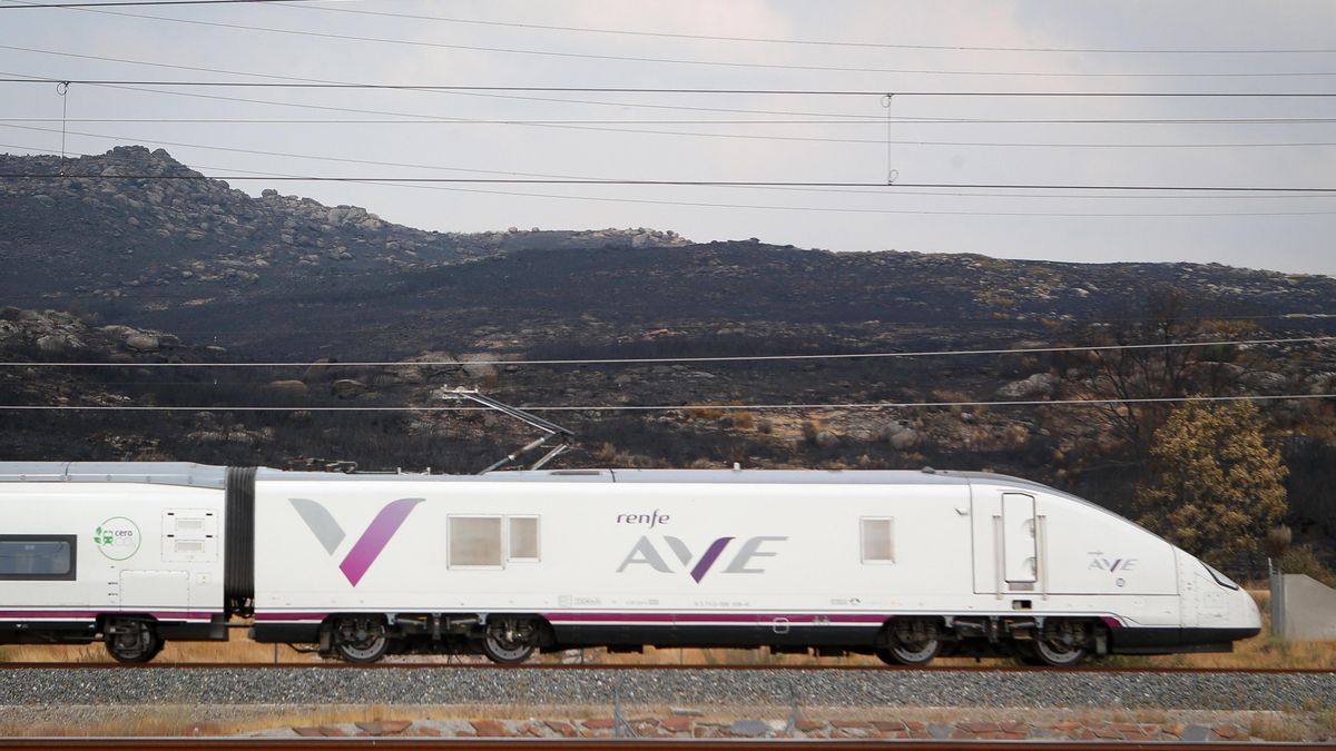Un tren AVE.