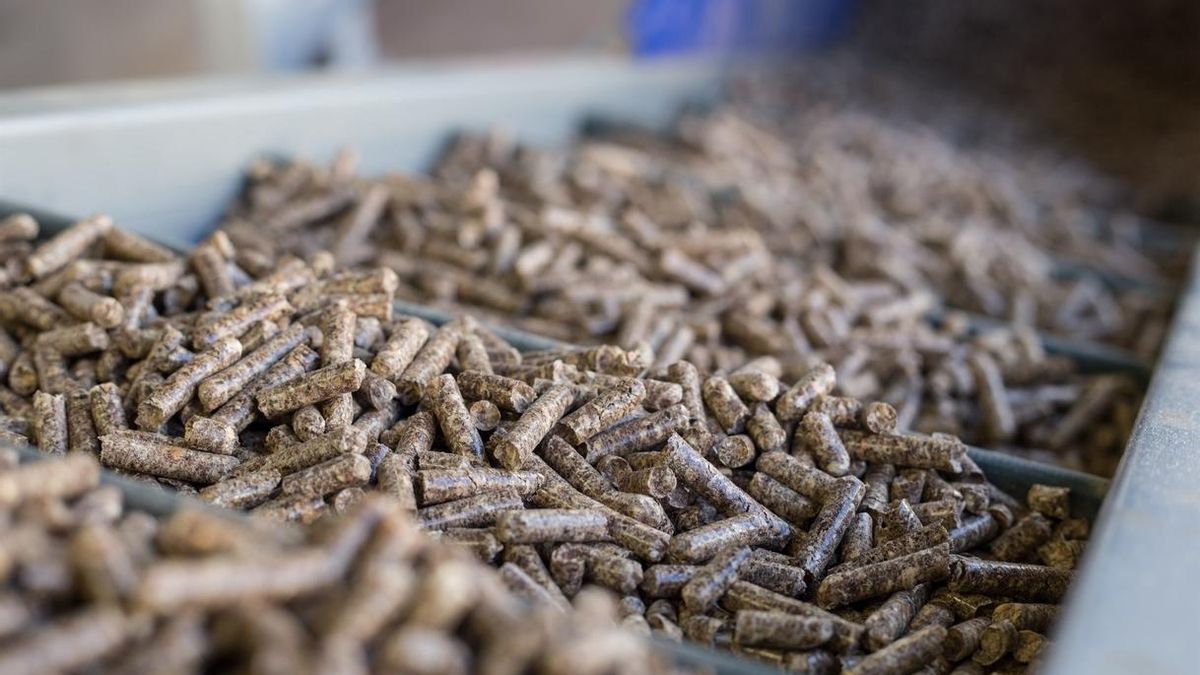 Las cuatro fábricas de pellets de Euskadi produjeron el pasado año 50.300 toneladas, el 7% del total nacional