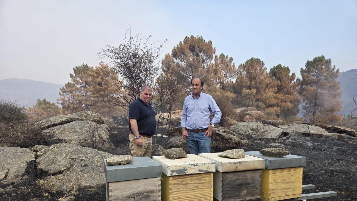 Castilla y León comienza a evaluar el impacto ambiental por el incendio en el valle de Iruelas