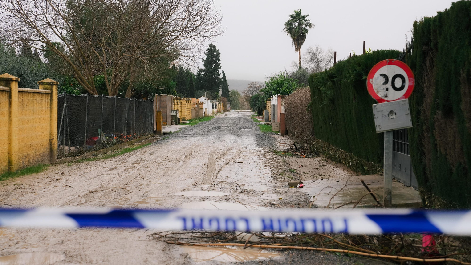 El lodo y el barro, dentro de las parcelas de las calles Perdiz y La Tórtola