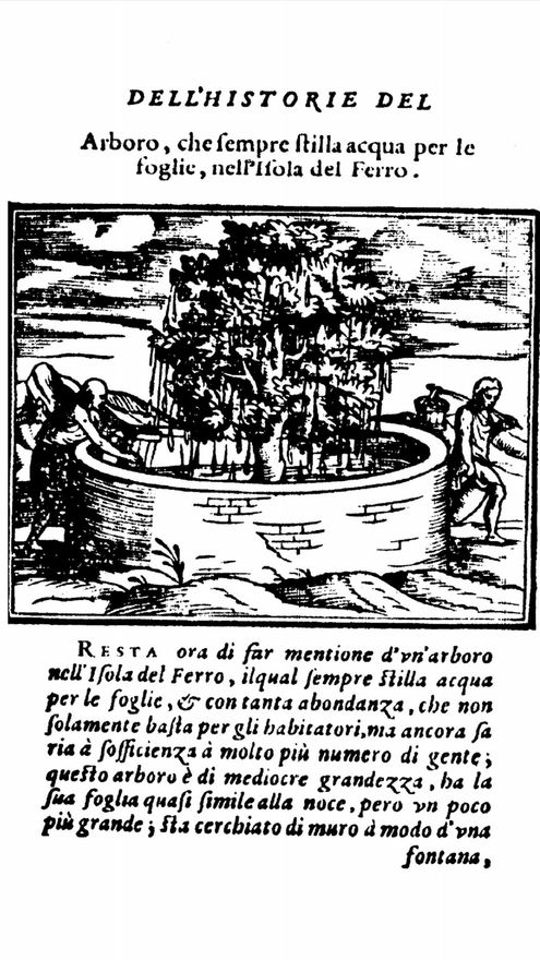 El garoé en un grabado de La historia del mondo nuovo, de Girolamo Benzoni