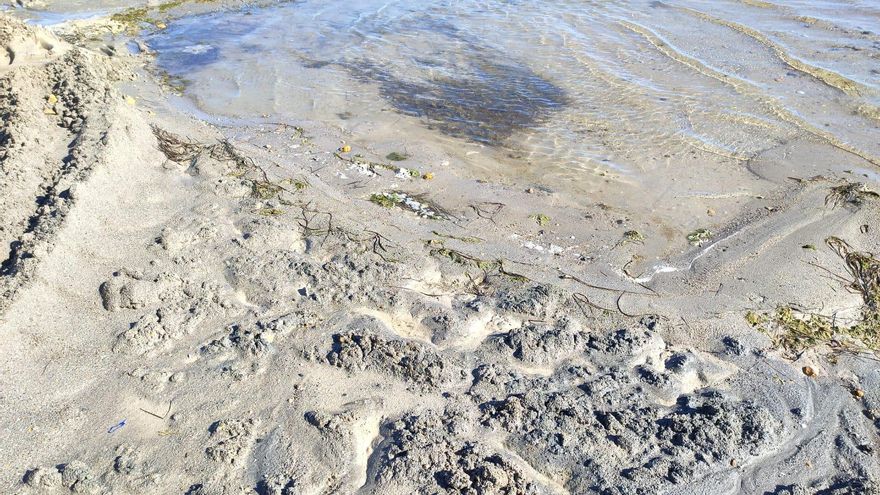 Imagen de Playa Colón realizada por técnicos de la Consejería de Agricultura este jueves