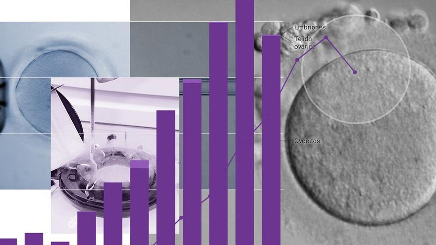 Las mujeres que congelan sus óvulos se han multiplicado casi por 30 en una década en España