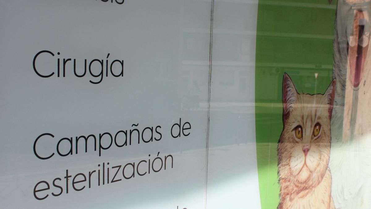Fachada del centro 'Animanía Madrid', que anuncia servicios de "cirugía" y "campañas de esterilización"