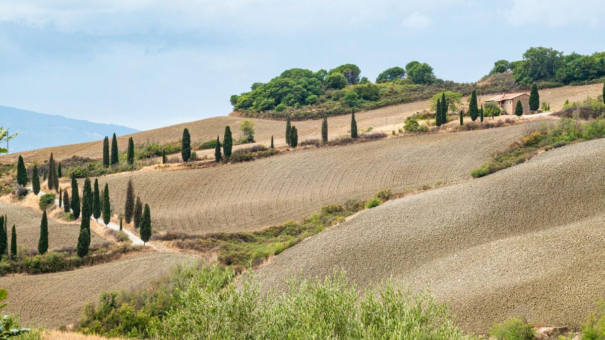 Colinas de cereal en PIenza. Aquí se grabaron las míticas escenas de la película El Gladiador.