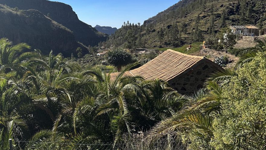 Casas tradicionales entre pinos y palmeras en el caserío de Las Tederas.
