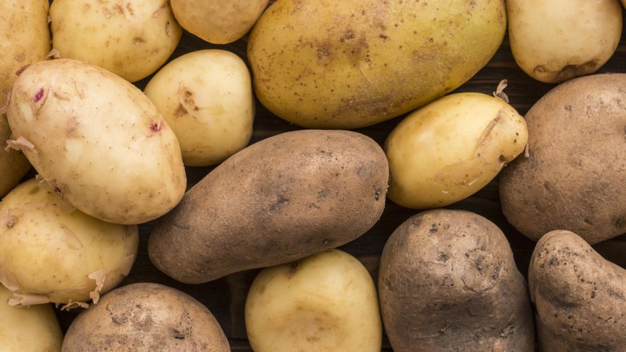 No es buena idea comer las patatas con brote: así puedes evitar que les salgan
