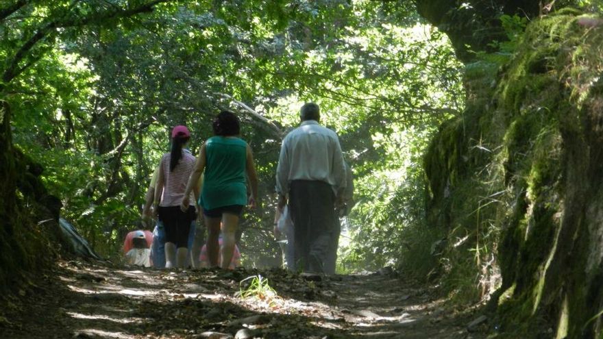 Proyecto de investigación artística 'Ruraldecolonizado' del Musac.
