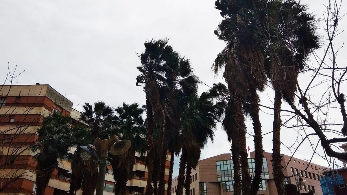 Imagen de archivo de día con fuertes vientos.