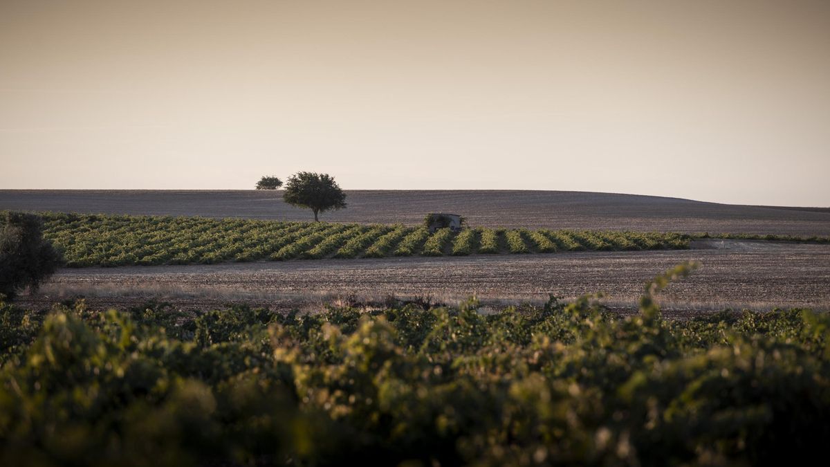 Tierras en la Mesa de Ocaña