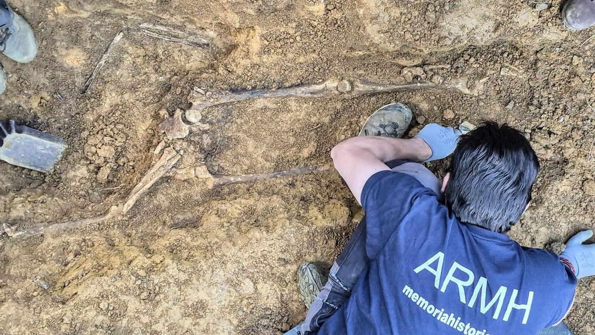 Exhumación de la ARMH en Almadén (Ciudad Real)