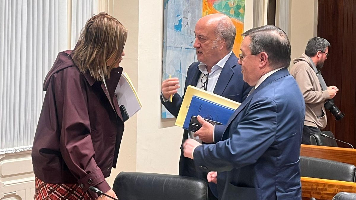 PSOE, IU y Tomé rechazan reabrir la comisión de investigación del accidente mortal en la mina de Zarréu, en Asturias