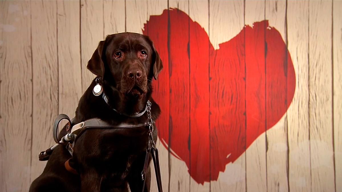 Telecinco anuncia 'Dog Dates', especial de 'First Dates' con solteros y sus perros: "Tienen que ser compatibles los cuatro"