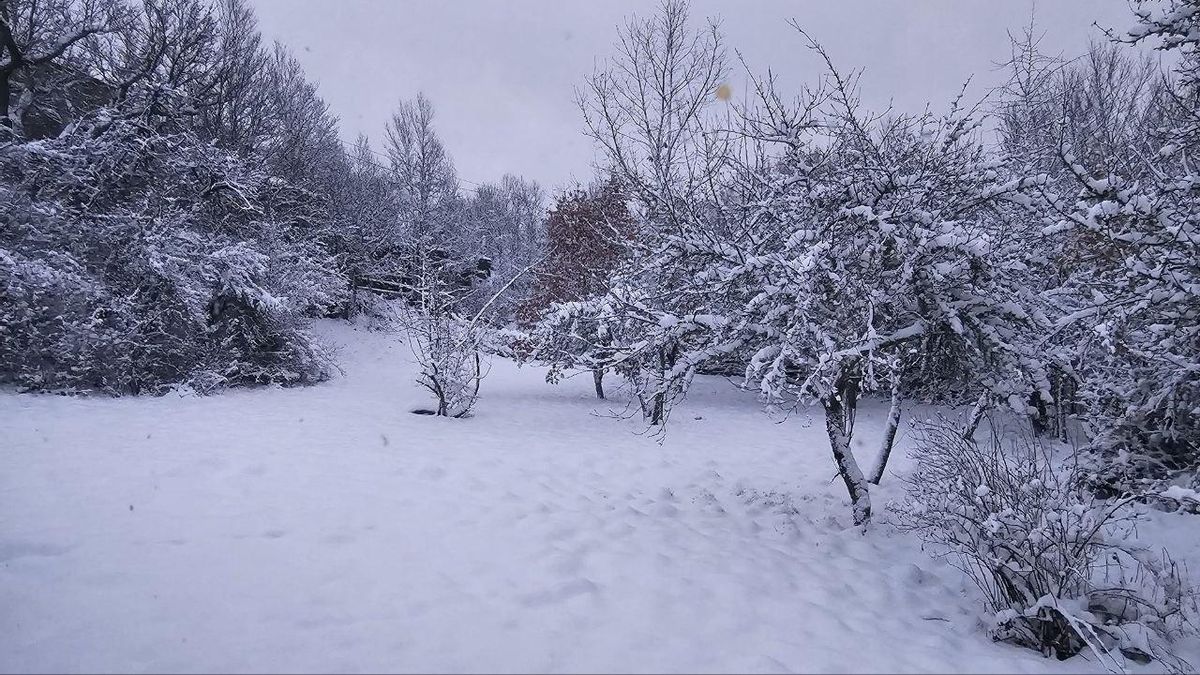 Nieve en Riocastrillo de Ordás. / J. Hernansanz